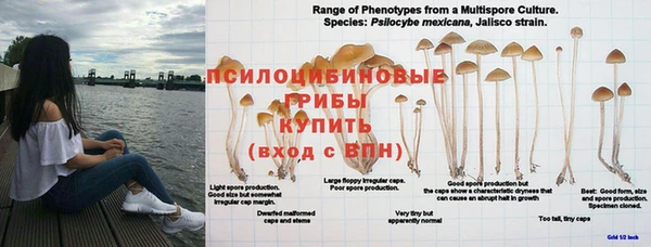 герыч Верхнеуральск